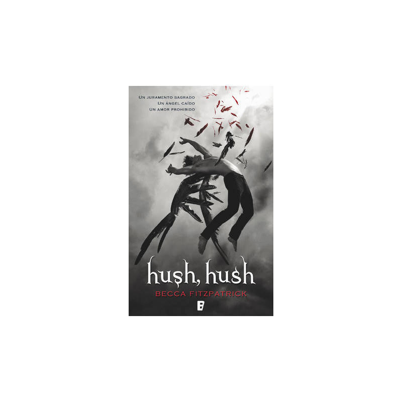 Hush, Hush (Saga Hush, Hush 1)