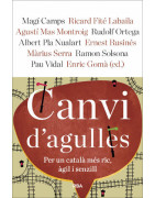 Canvi d'agulles