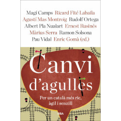 Canvi d'agulles