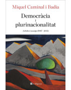 Democràcia i plurinacionalitat