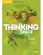 Thinking Space B1+ Level Workbook