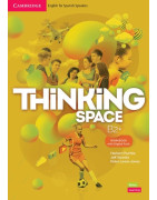 Thinking Space B2+-Workbook