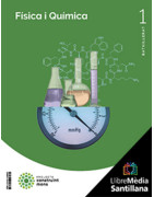 LM PLAT Alumne Física i Química 1 BTO Grup