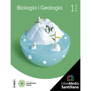 LM PLAT Alumne Biologia i Geologia 1 ESO Construint mons Grup