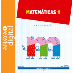 Matemáticas 1º Cuadrícula...