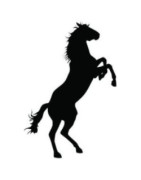 Blinkshop  Ghizou